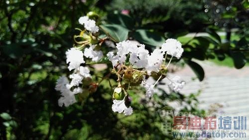 ��ͼ�����⡿1600�������+2K����+����801оƬ ���������ֻ�K920