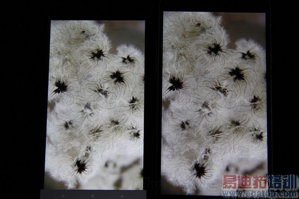 ���ռ��Ծ���С��4�ԱȻ�Ϊ��ҫ6ȫ�����⣨��ͼ��