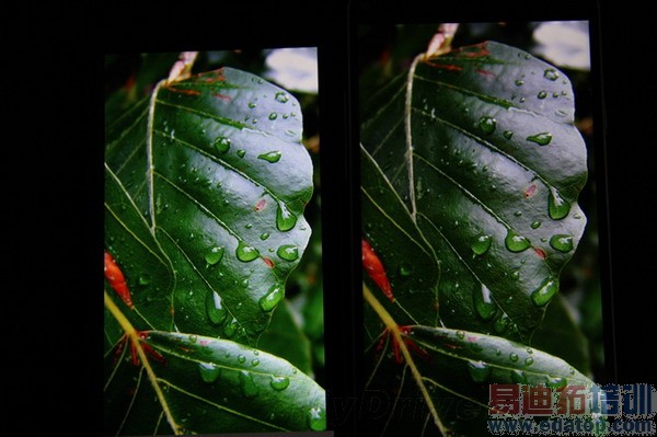 ���ռ��Ծ���С��4�ԱȻ�Ϊ��ҫ6ȫ�����⣨��ͼ��