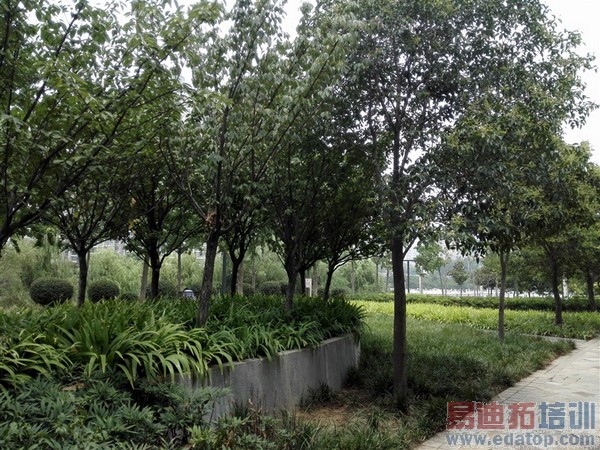 ���ռ��Ծ���С��4�ԱȻ�Ϊ��ҫ6ȫ�����⣨��ͼ��