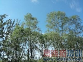 ���ظ�ͨ����801   �����ֻ�Ӳ�����þ�����Σ�