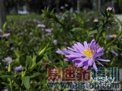 С��4/��ҫ6/һ��/nubia Z7 max��ȫ�Ա����� 