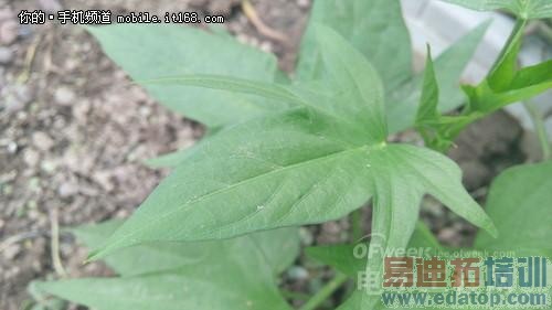 �����⡿��ɱ����4/С��4 ǧԪ���ɴ���F2¡�صǳ���ͼ�飩