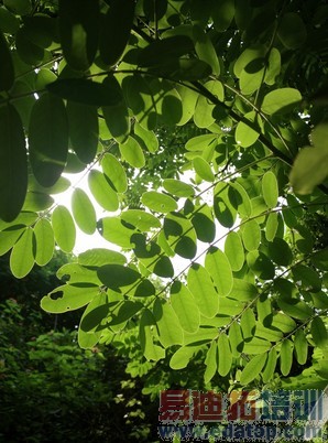 IUNI U3ȫ���ռ����⣺�������շ�