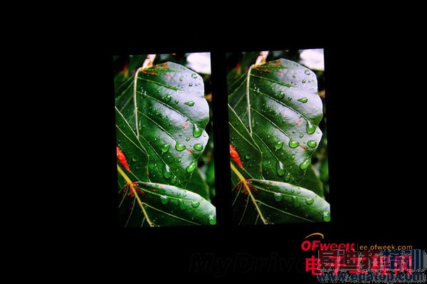 ���ռ��Ծ���С��4�Ա���ҫ6����ͼ��