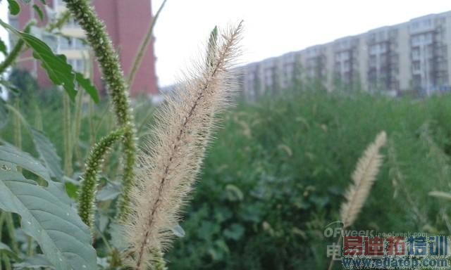 ���������ʴ�������4Gֱ��PK����Note 4G  ����Core Mini 4G����