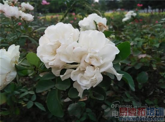 史上最全4G版红米Note增强版评测+拆解