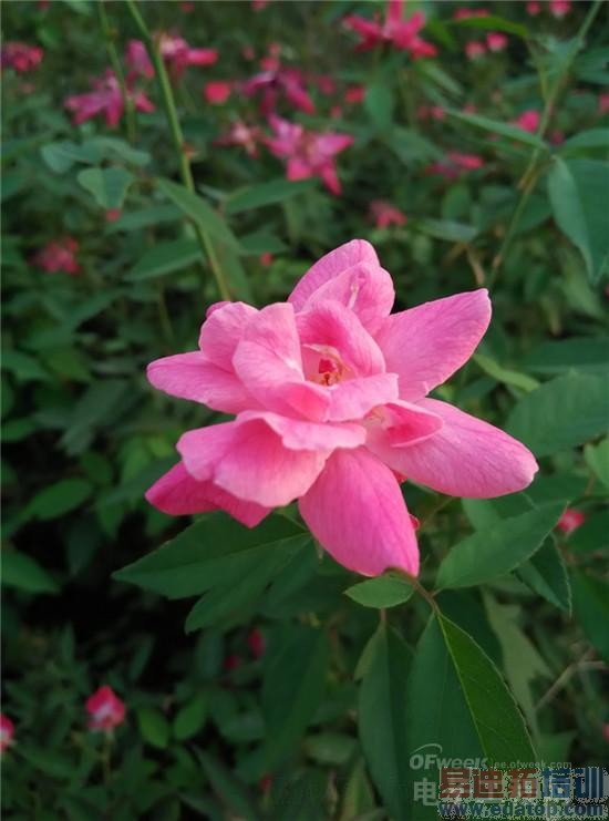 史上最全4G版红米Note增强版评测+拆解