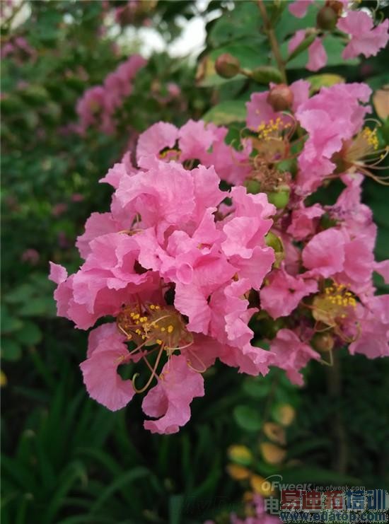 史上最全4G版红米Note增强版评测+拆解