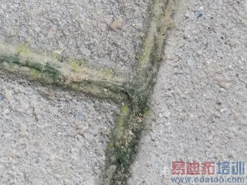 ��ϵ��ս������ LG G3�Ա�����GALAXY Note3