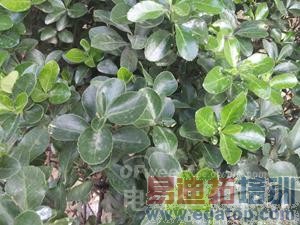 ��ϵ��ս������ LG G3�Ա�����GALAXY Note3