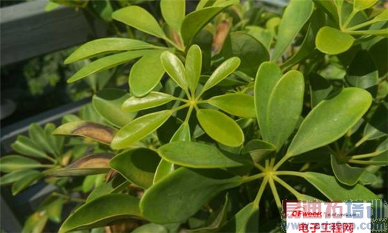 ����MX4������⣺ʤMX3���ࣿ