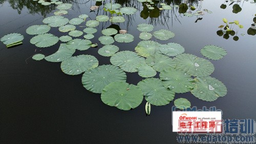 6Ӣ�����ȫ���� ��Ϊ���콢Mate7����