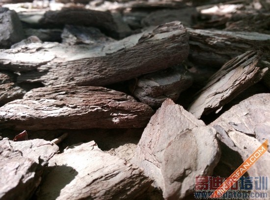 IUNI U3ȫ���ռ�����