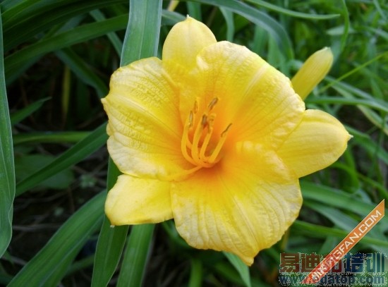 IUNI U3ȫ���ռ�����