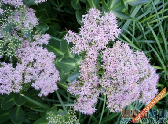 IUNI U3ȫ���ռ�����