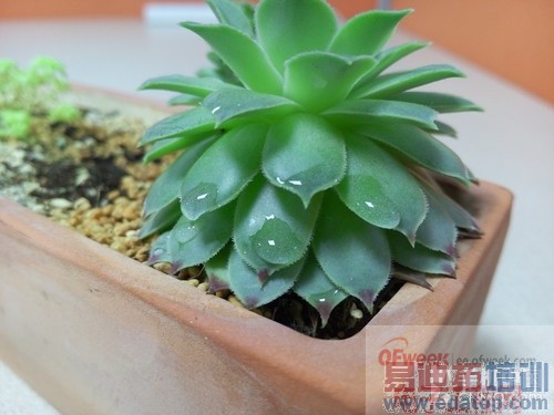 ����С��4/����Note4  ����MX4��Ʒ��������ҵ�磨�����⣩