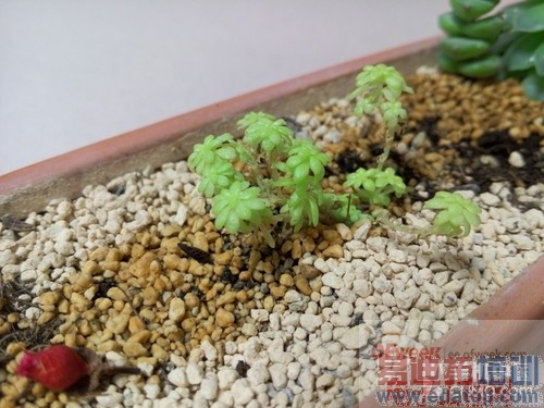 ����С��4/����Note4  ����MX4��Ʒ��������ҵ�磨�����⣩