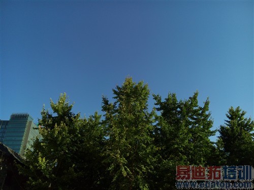 ����С��4/��ΪMate7 ����MX4���⣨ͼ��