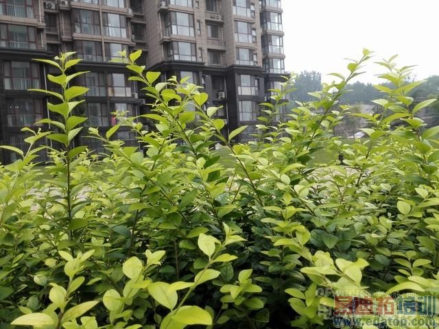 ��Ϊ��ҫ6�������⣺�Ծ�����MX4/С��4/����