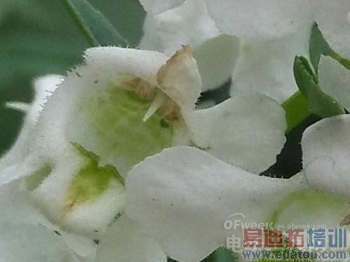 �����⡿��Ϊ��â3ȫ�����⣺ȫ��ͨ4G��������