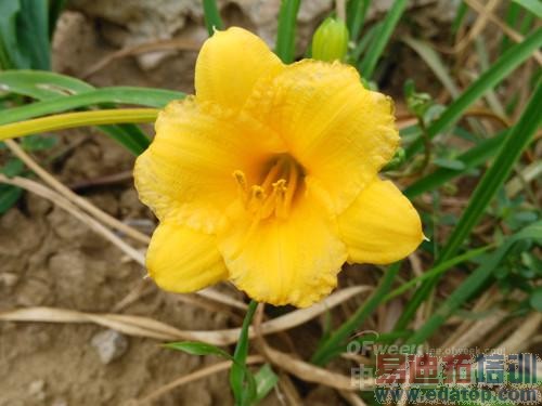 �����⡿��Ϊ��â3ȫ�����⣺ȫ��ͨ4G��������