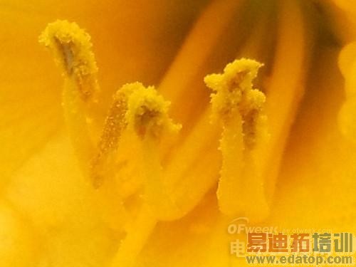 �����⡿��Ϊ��â3ȫ�����⣺ȫ��ͨ4G��������