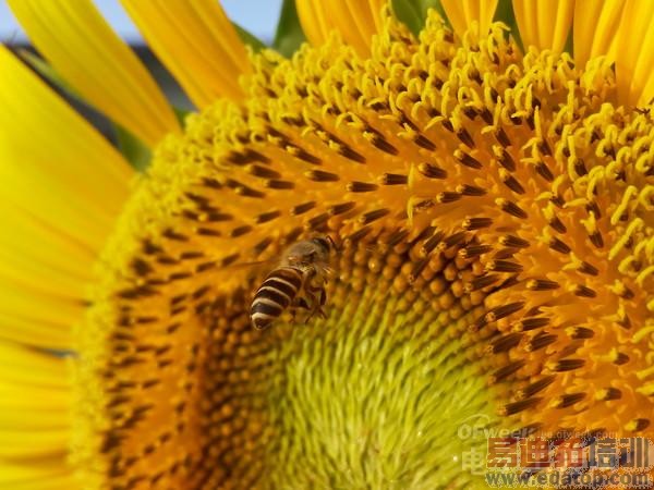 ����MX4�������+ͼ�ͣ��걬С��4��ֻ���ܷ�