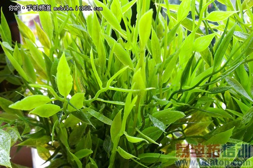 IUNI U3����ȫ���ռ����⣨��ͼ��