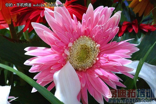 IUNI U3����ȫ���ռ����⣨��ͼ��