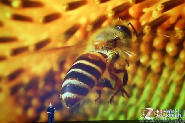 ������ֱ���䡿��Լ9�� ����MX4�����ἴ����ʼ