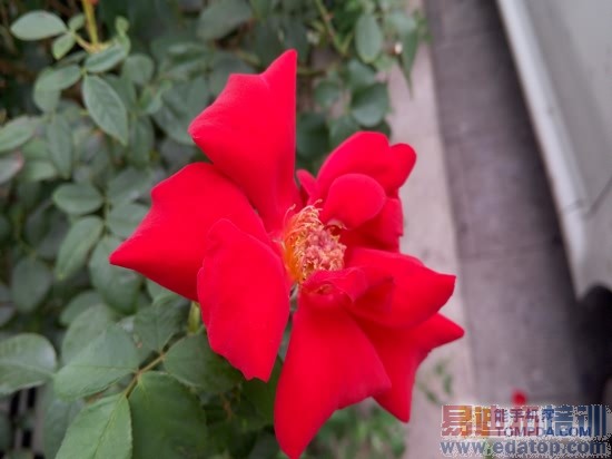 ����MX4ȫ��λ�ռ����⣨ͼ�ģ�