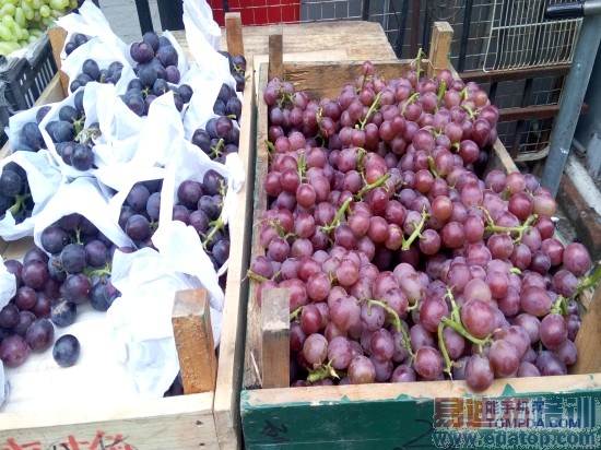 ����MX4ȫ��λ�ռ����⣨ͼ�ģ�