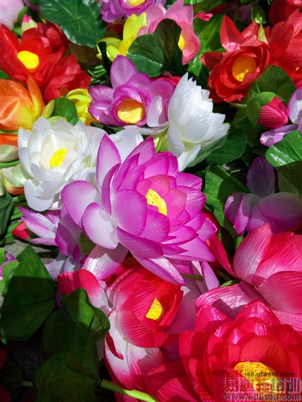 ����MX4 Wi-Fi�źš��ܷ֡�����ͷ�����������ȫ�����⣨ͼ�ģ�