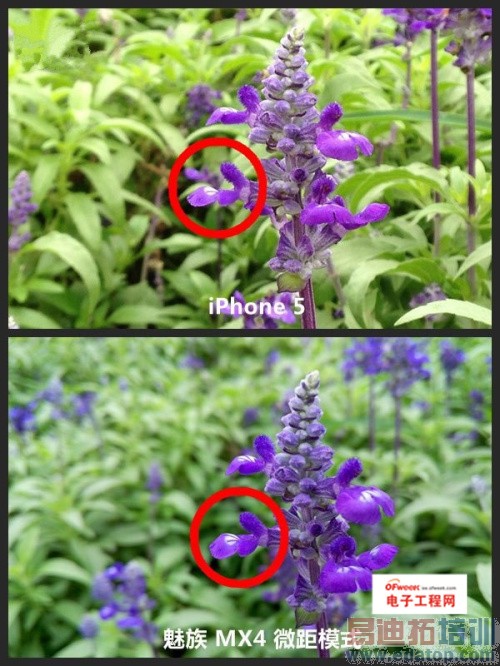 ��֮زز�����仪��4���������� ��ɫ������MX4����