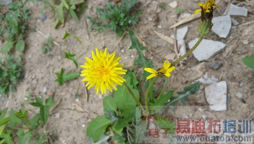 �����š�iPhone6����� ����GALAXY Note4����