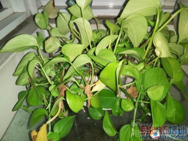 1799ԪMX4���ܷ��ۣ�����MX4ȫ���ռ�������⣨�������ͼ��