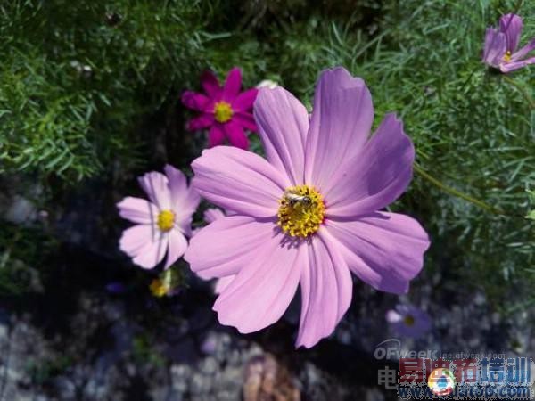 1799ԪMX4���ܷ��ۣ�����MX4ȫ���ռ�������⣨�������ͼ��