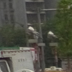 ����MX4�����ж�ǿ��2070��������ս����Z2