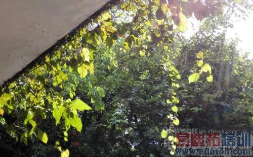 ��4���л�Ϊ��ҫ6��������⣺����920/˫�� ����MX4С�Ľ��У�