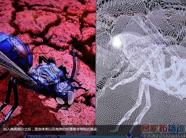 iPhone6Ψһ��������Note4ȫ������