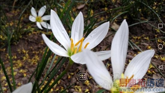 ��ΪMate 7���⣺�Լ۱Ƚ�ɱ����MX4 6��ȫ������ƴiphone6