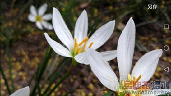 ��ΪMate 7���⣺�Լ۱Ƚ�ɱ����MX4 6��ȫ������ƴiphone6