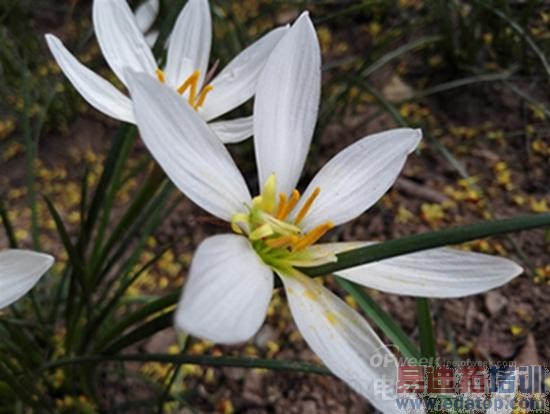 ��ΪMate 7���⣺�Լ۱Ƚ�ɱ����MX4 6��ȫ������ƴiphone6