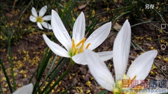 ��ΪMate 7���⣺�Լ۱Ƚ�ɱ����MX4 6��ȫ������ƴiphone6