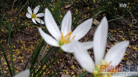 ��ΪMate 7���⣺�Լ۱Ƚ�ɱ����MX4 6��ȫ������ƴiphone6