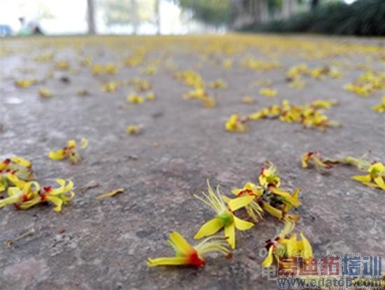 ��ΪMate 7���⣺�Լ۱Ƚ�ɱ����MX4 6��ȫ������ƴiphone6