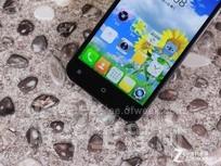 �����˺��»�