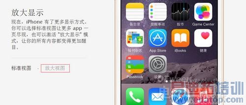 为iPhone 6/Plus正名 64位A8/全网通亮点解析