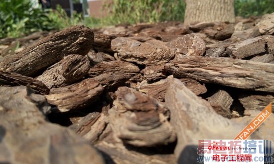 ���ּ���  ����MX4��ʽ���⣺����MX3���������Ŵ���MX3